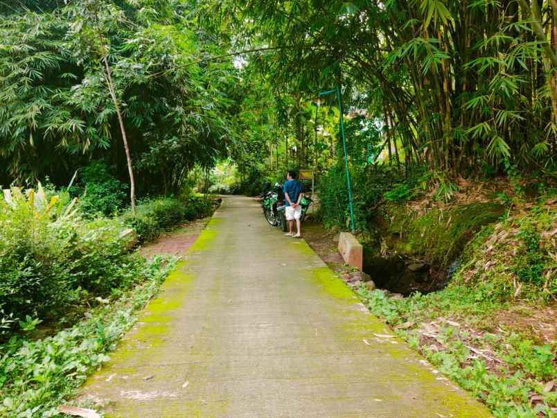 tanah mojogedang karanganyar