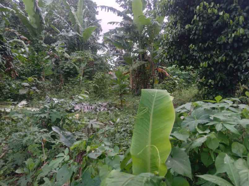 tanah murah strategis kawasan adem