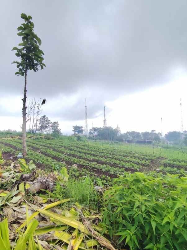 tanah murah strategis view menawan di kota batu