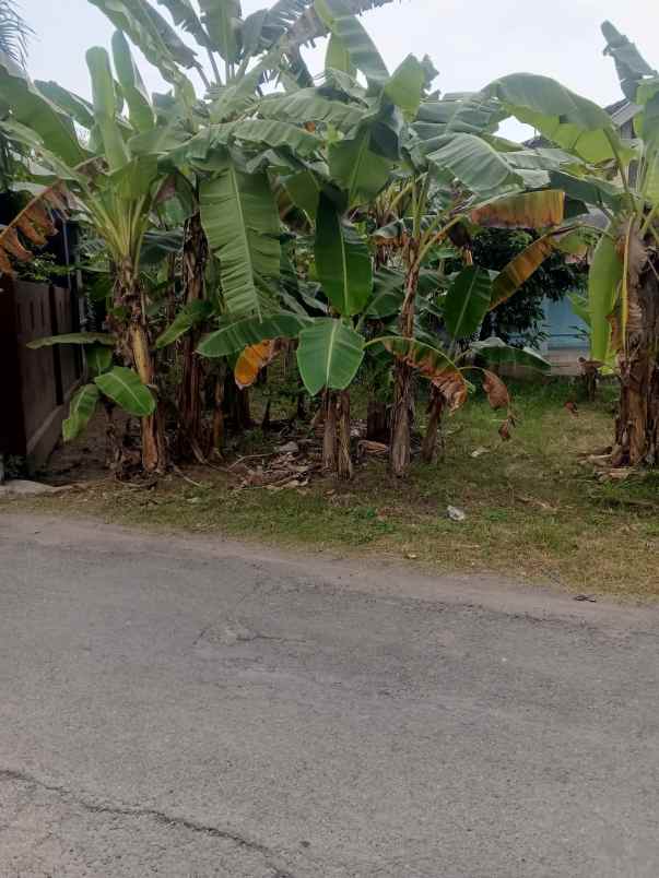 tanah pekarangan 0 jln paving