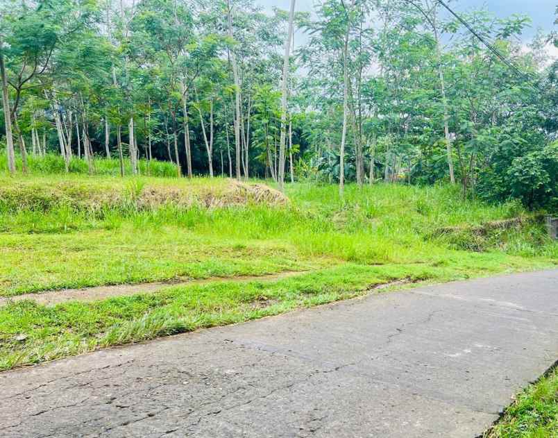 tanah pekarangan 5797m2 karangpandan karanganyar