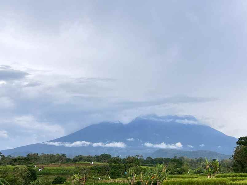 tanah sawah 3592m view gunung kerjo karanganyar