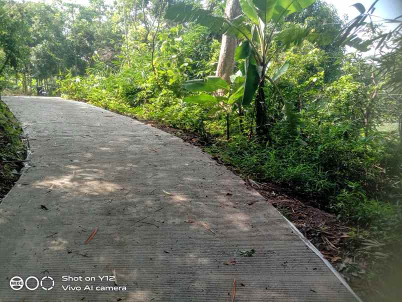 tanah sawah subur dan produktiv