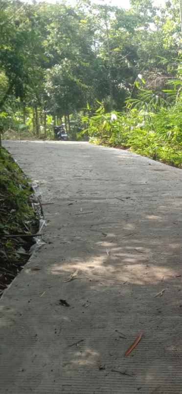 tanah sawah subur dan produktiv