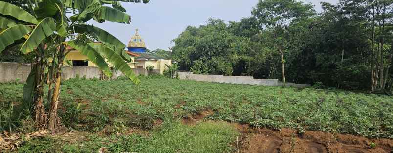 tanah siap bangun di bawah harga pasar
