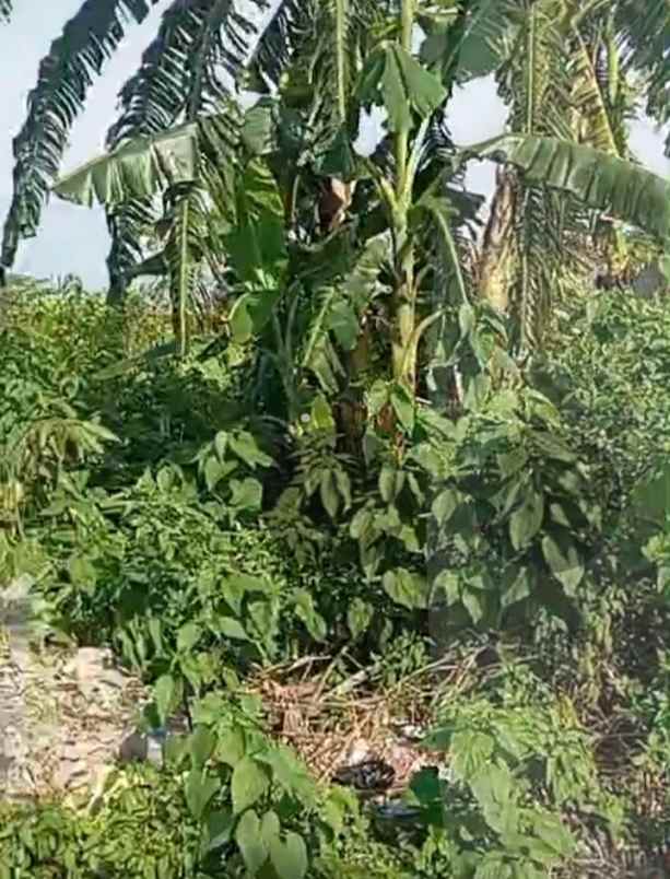 tanah strategis pinggir jalan