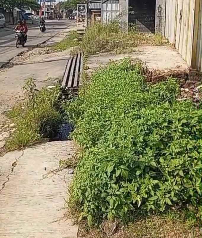 tanah strategis pinggir jalan