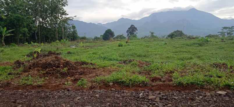 tanah tanjungrasa tanjungsari