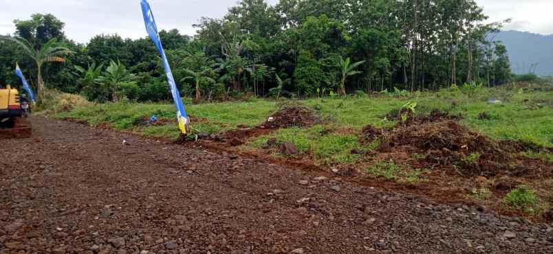 tanah tanjungrasa tanjungsari