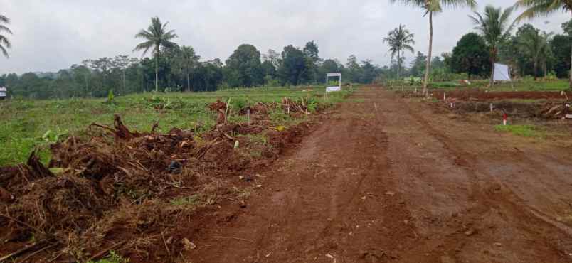 tanah tanjungrasa tanjungsari