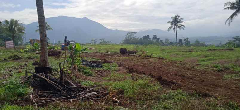 tanah tanjungrasa tanjungsari