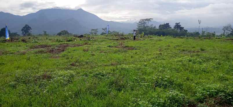 tanah tanjungrasa tanjungsari