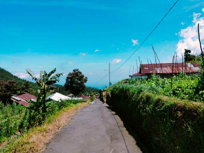 tanah tawangmangu karanganyar