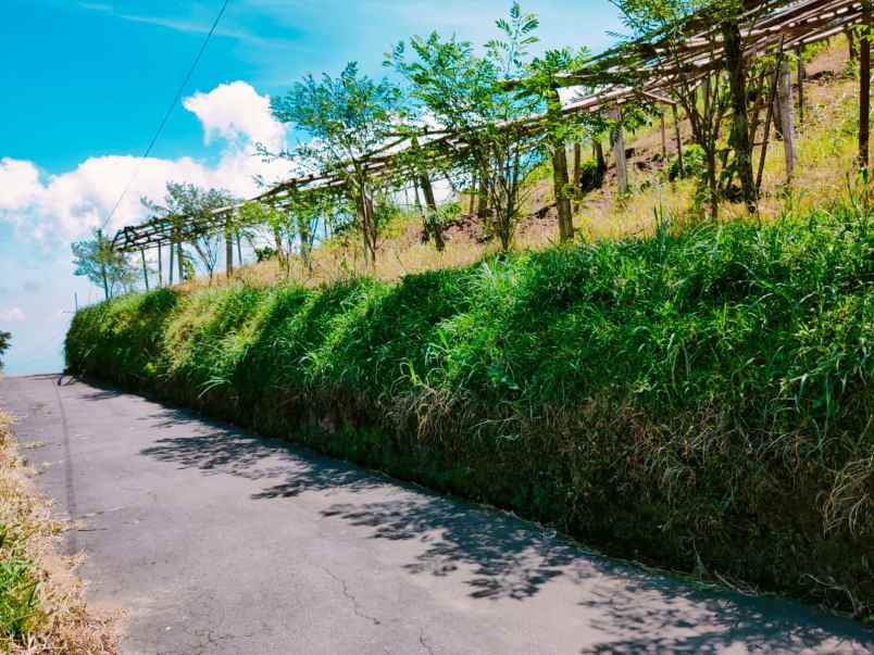 tanah tawangmangu karanganyar