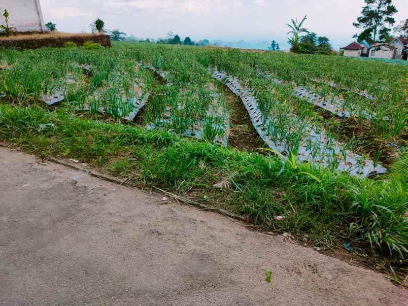 tanah tawangmangu karanganyar