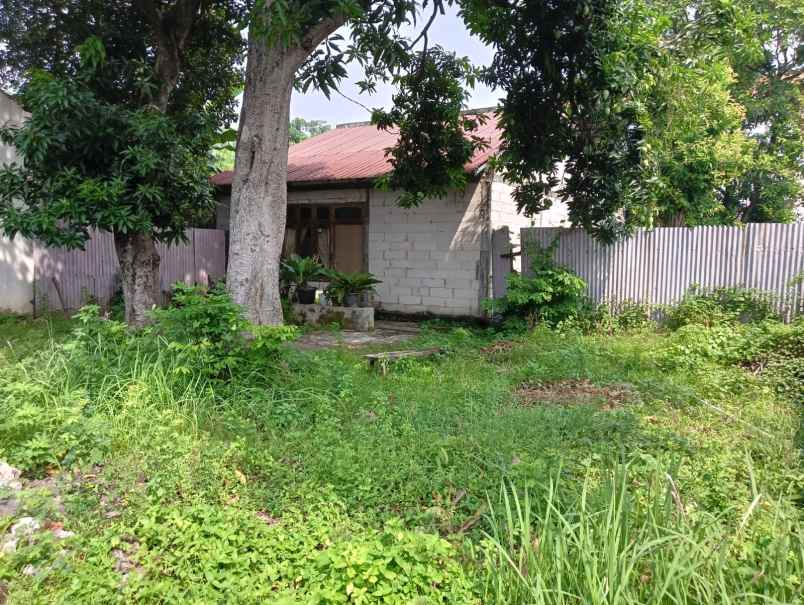 tanah tengah kota jalan jeruk lampersari semarang