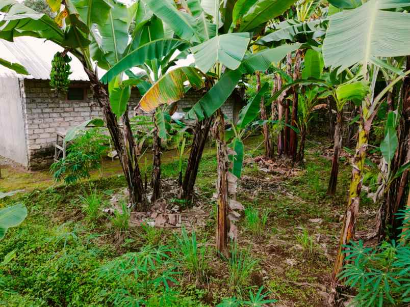 tanah tepi jl dpu tawangmangu