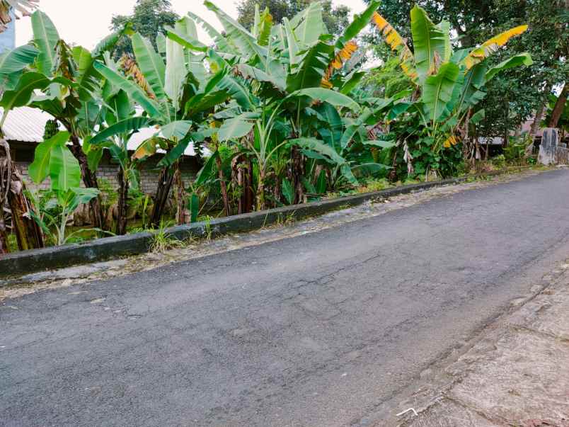 tanah tepi jl dpu tawangmangu