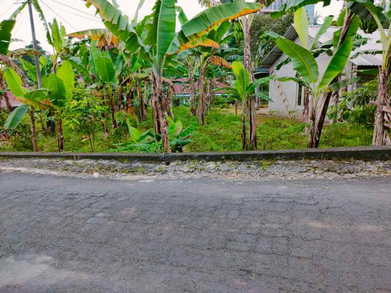 tanah tepi jl dpu tawangmangu