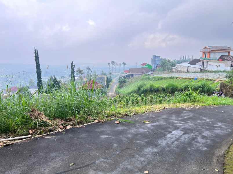tanah udara dingin kawasan wisata kemuning karanganyar