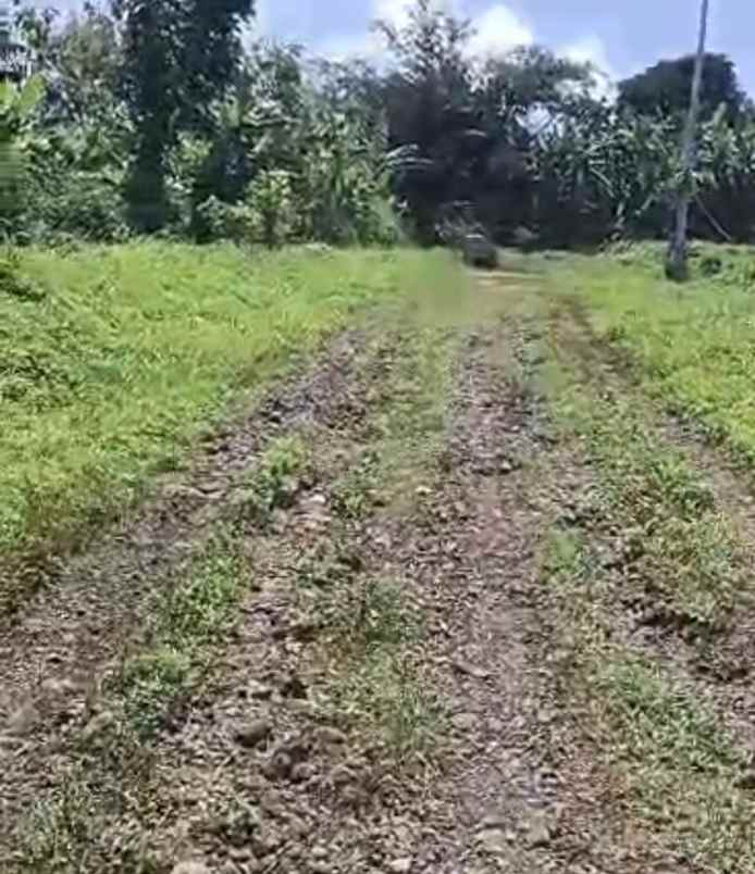 tanah wonosari ngaliyan semarang