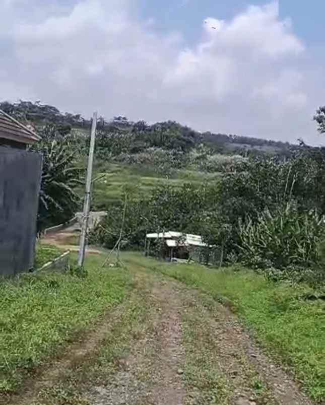 tanah wonosari ngaliyan semarang
