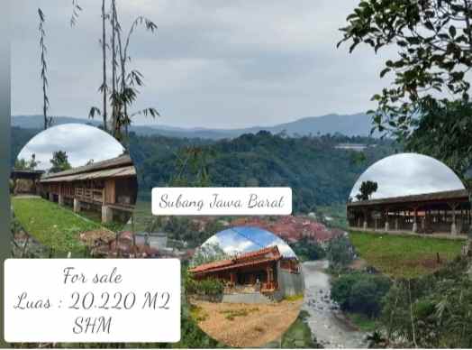 vila kebun ada kandang sapi kambing subang