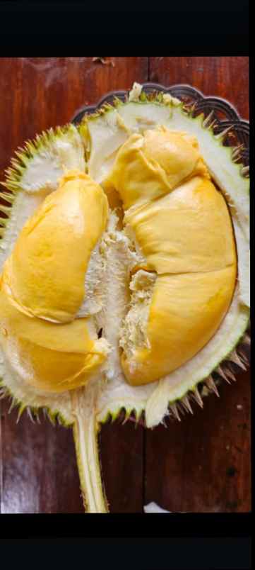 vila kebun durian subang jawa barat