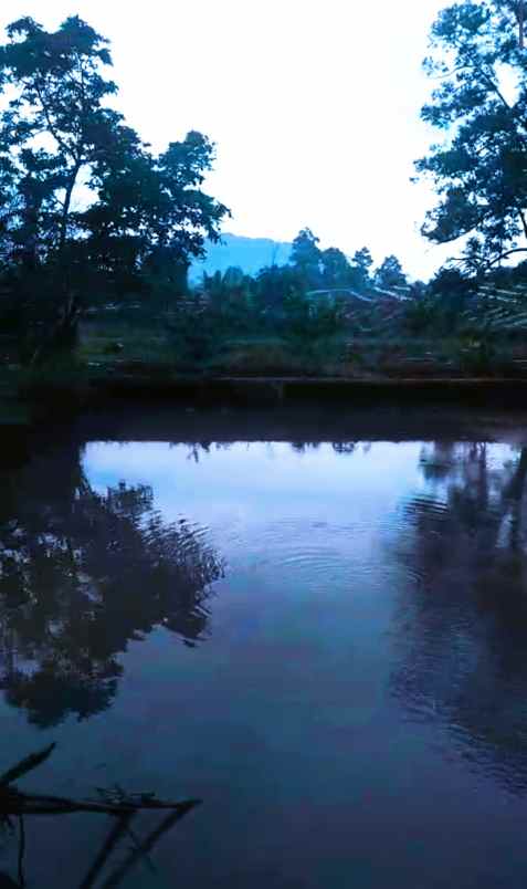 villa di bernung gedong tataan luas tanah 3371m