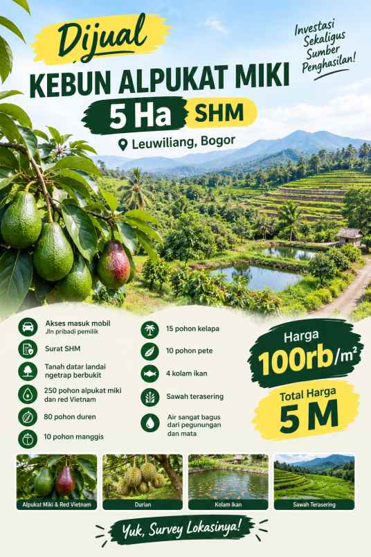 5 ha kebun alpukat cuma rp5 miliar