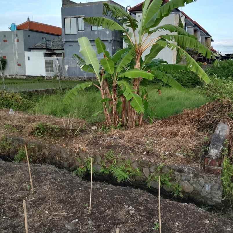 dijual 2 45 are jl tukad badung renon denpasar