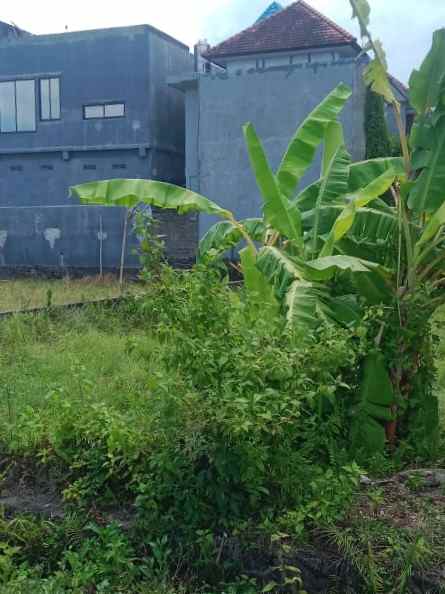 dijual 2 45 are jl tukad badung renon denpasar