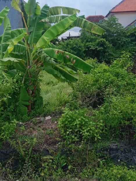 dijual 2 45 are jl tukad badung renon denpasar