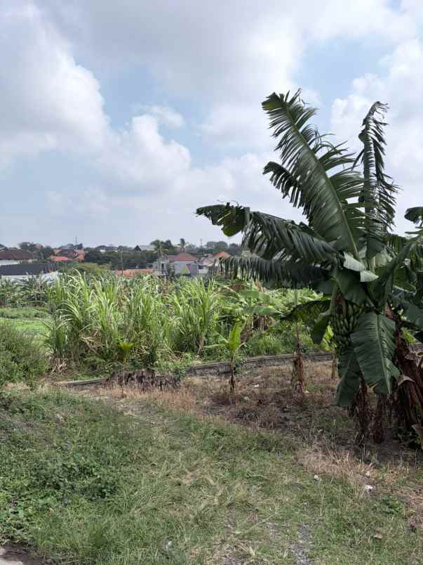 dijual 2 77 are jl pandu padonan dalung kuta utara