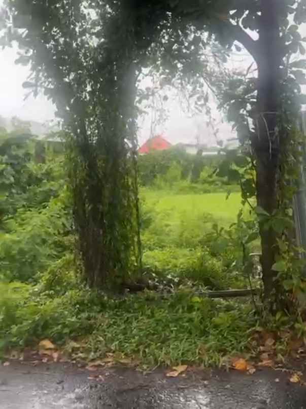 dijual 3 are jl tukad badung xi renon denpasar