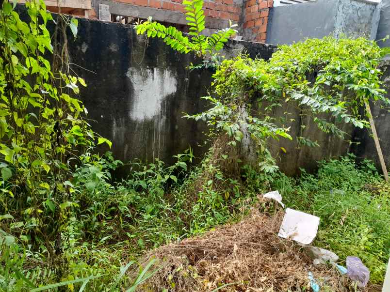 dijual cepat rumah tinggal lingkungan asri