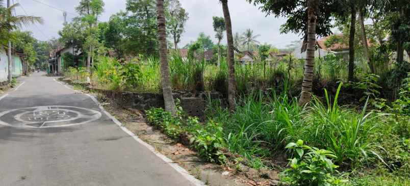 dijual pekarangan sukorini manisrenggo