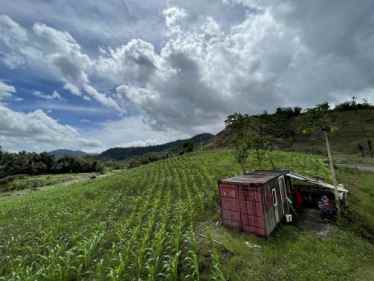 dijual perkebunan seluas 2h di totabuan sulawesi utara