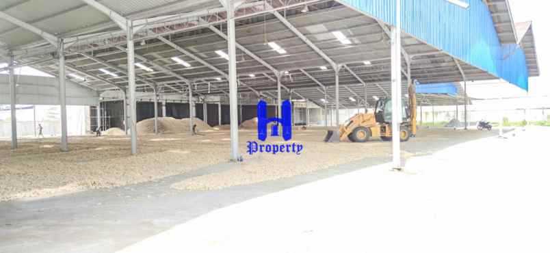 dijual ruko gudang kantor jalan rotan tanjung morawa