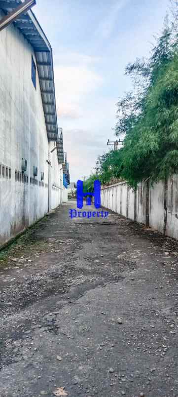 dijual ruko gudang kantor jalan rotan tanjung morawa