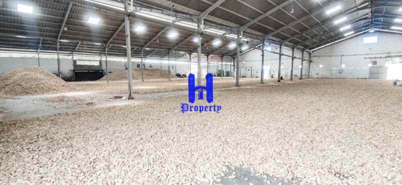 dijual ruko gudang kantor jalan rotan tanjung morawa