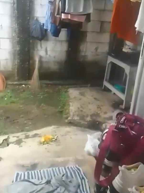 dijual rumah cibungbulang dramaga bogor