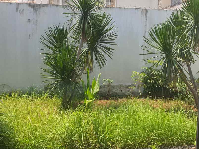 dijual rumah cluster greenwood lippo