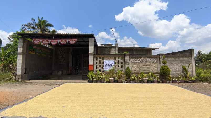 Bwi A359 Dijual Rumah Di Desa Yosomulyo Kec Gambiran Banyuwangi