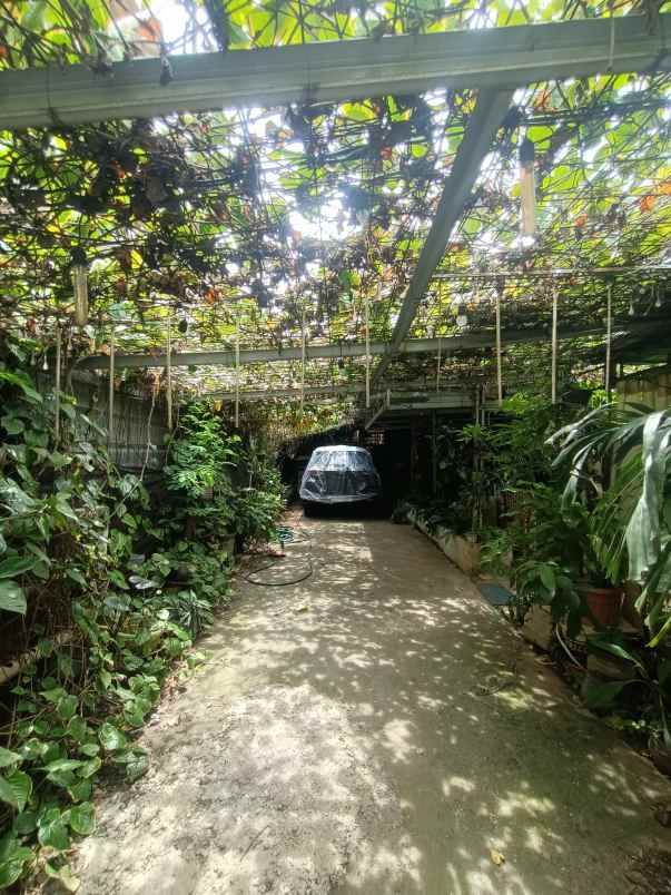 dijual rumah jalan kemang