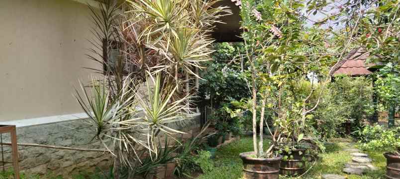 dijual rumah jl bukit pratama raya