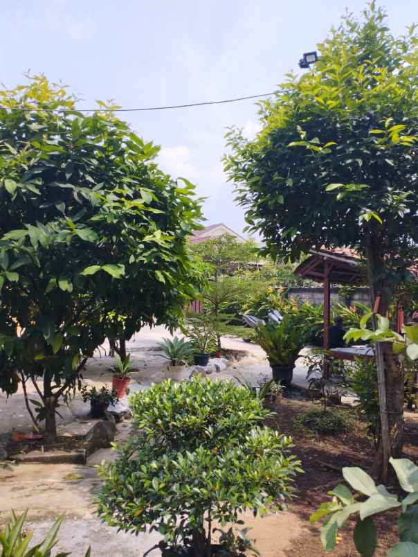 dijual rumah jl h een cilodong depok