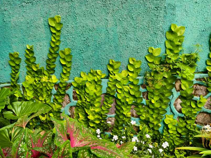 dijual rumah kp saninten