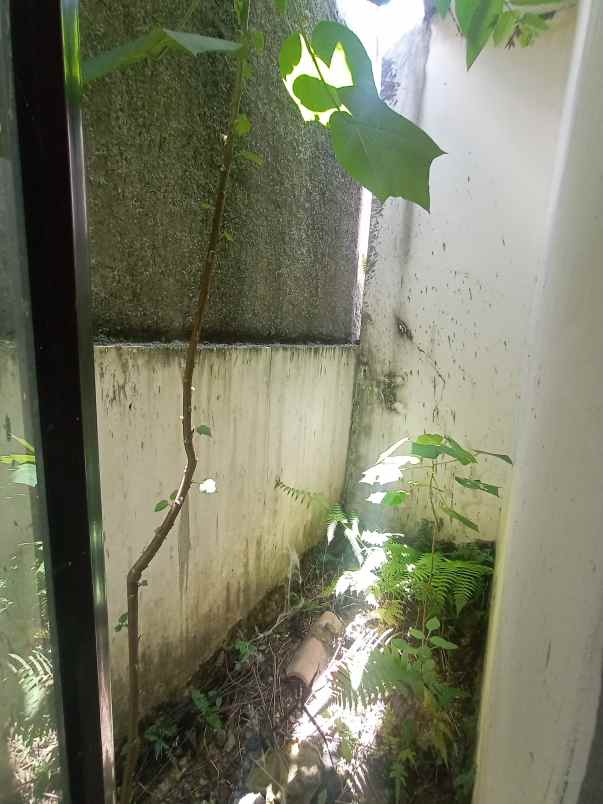 dijual rumah leuwiliang bogor