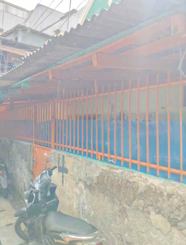 dijual rumah sawah lio jembatan lima
